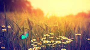 Слънчево и топло време