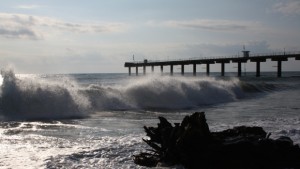 В Шкорпиловци започва Седмицата на морето