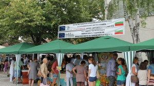Царево царство на мановия мед