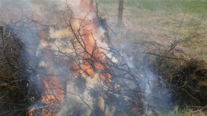 Военен хеликоптер помага в гасенето на пожар край Лесово