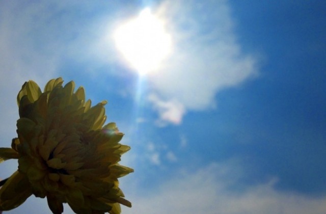 Жълт код в 6 области за жега днес