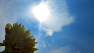 Жълт код в 6 области за жега в сряда