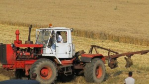 В Добричкия регион започна прибирането на фасула