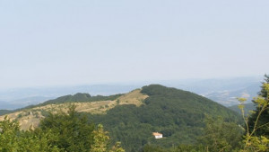 Синоптиците обещават един приятен летен ден в региона