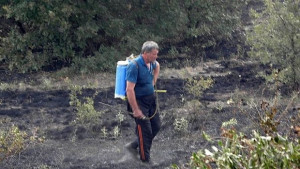 Локализираха пожара до село Вълча поляна