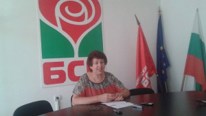 От БСП предлагат намаляване на ДДС върху детските стоки