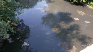Изясниха причините за замърсяването на Янтра край Шемшево