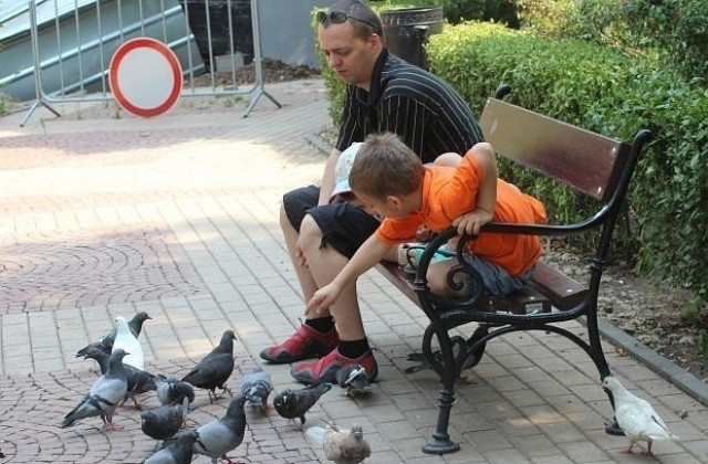 Остава слънчево