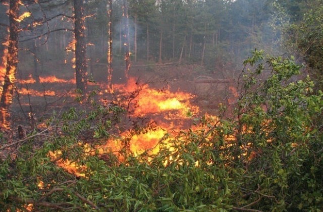 Оранжев код за повишена опасност от пожари в Плевенска област
