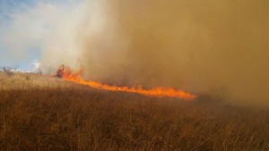 Арестуваха 20годишен за пожара край Лесово
