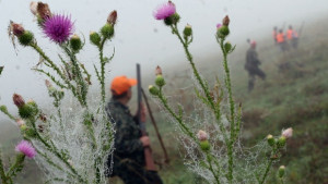Открива се ловният сезон за прелетен дивеч