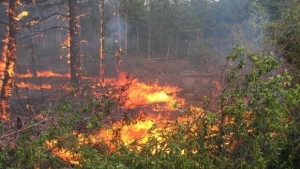 Код червен за опасност от пожари в Източна България