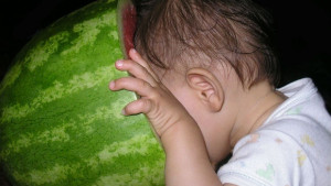 В Никюп честват Празника на динята