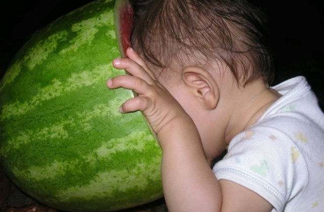 В Никюп честват Празника на динята