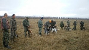 Днес откриват ловния сезон за прелетен дивеч
