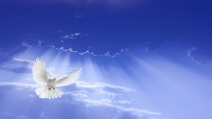 Италиански програмисти улесняват общуването между живи и мъртви