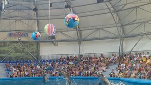 Делфин определи Крисия да пее първа на конкурса Детская новая