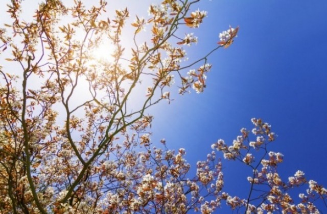 Слънчево начало на седмицата