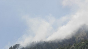 Наблюдателна кула в Костел ще следи за пожари в Еленския