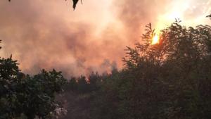 Овладян е пожарът край Казанлък пътят за Стара Загора е