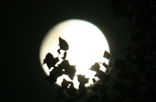 Днес е пикът на метеорния дъжд на Персеидите