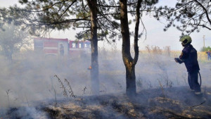 Горя широколистна гора в Котленско
