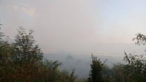 Няма пострадали хора животни и сгради при пожара в местността