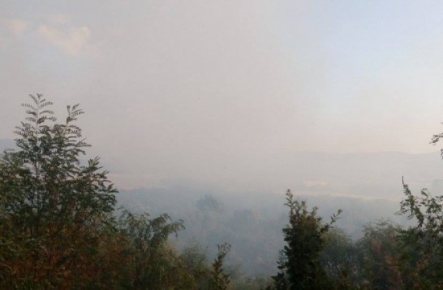 Няма пострадали хора, животни и сгради при пожара в местността „Каракос“