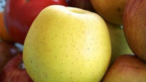 Стартира приемът по схемата Училищен плод