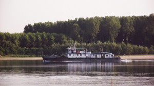 Високите температури не са причина за ниските нива на Дунав