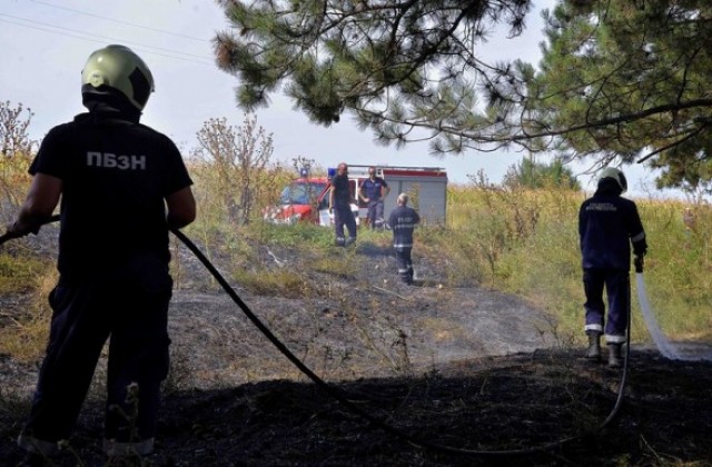Пожар изпепели 5 дка гора край великотърновското село Въглевци
