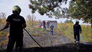 Над 50 души са гасили пожара край Въглевци кметът Даниел