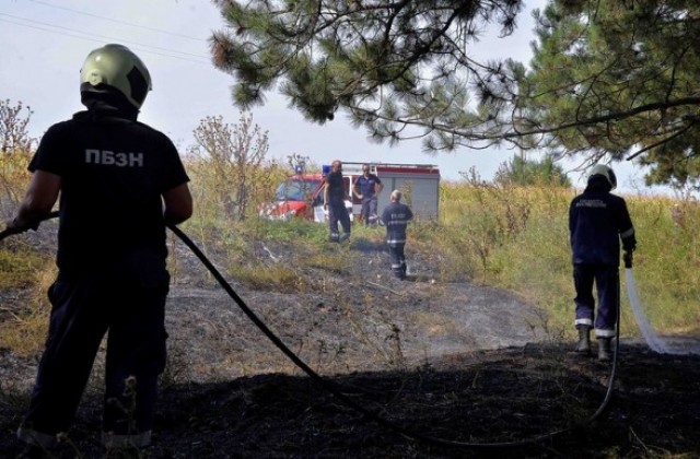 Над 50 души са гасили пожара край Въглевци, кметът Даниел Панов благодари за бързите действия на институциите