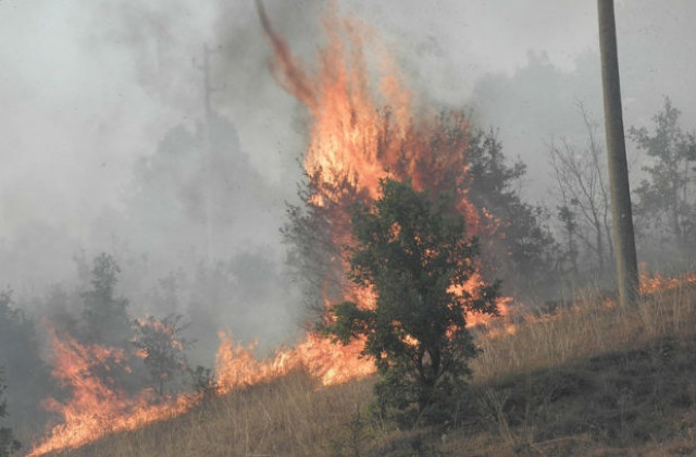 Огромен пожар гори край Благоевград