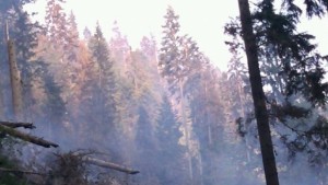 Голям пожар в село Илия горя и Ауди