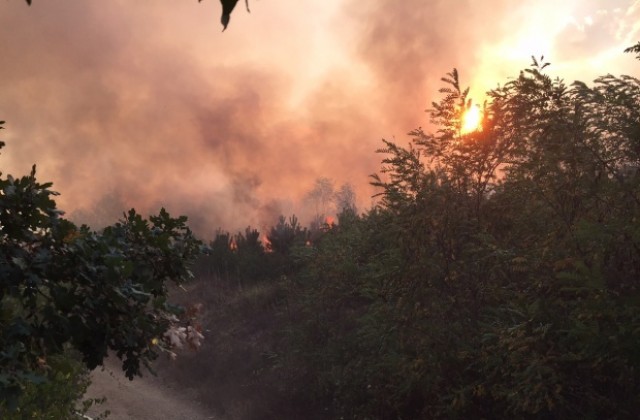 Седем големи пожара в областта за 20 дни