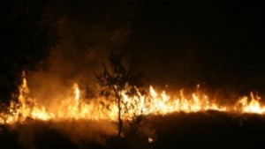 Пожар горя в село Тюленово