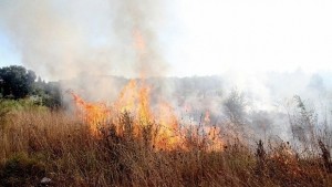 Овладяха голям пожар на метри от къщите на Тюленово причината