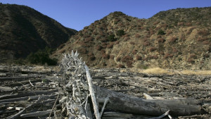 Океанограф сравнява Ел Ниньо с Годзила