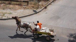 30 акта за каруци движещи се из града са съставили