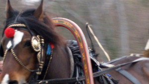 Полицията залови конекрадец с множество присъди