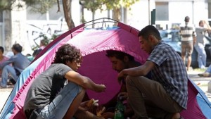 Откриха нелегални имигранти край Ветрино