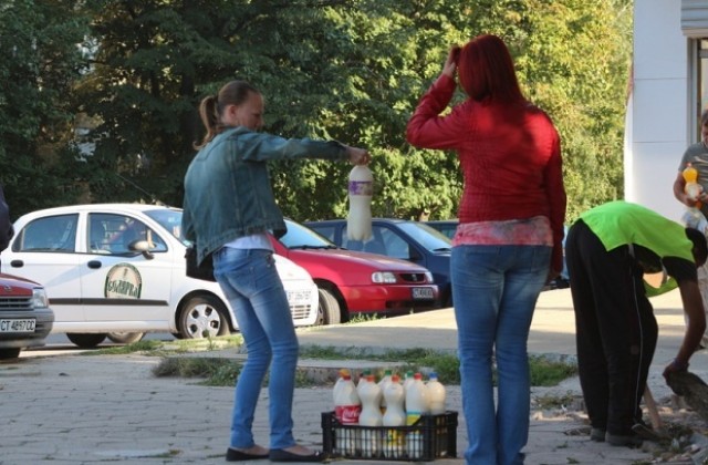 Започват масови проверки за нерегламентирана търговия с мляко