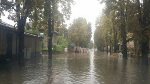 Отводняваха къщи и мазета в Димитровград Свиленград и Любимец