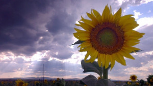 Температурите се покачват