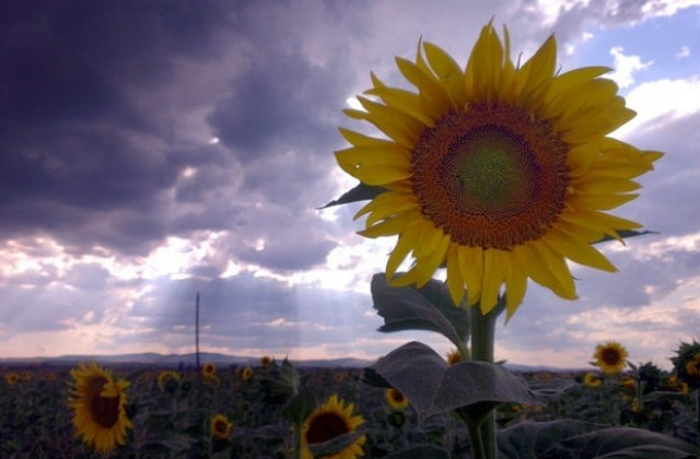 Температурите се покачват