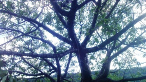 Лятото се завръща