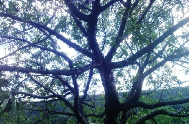 Лятото се завръща