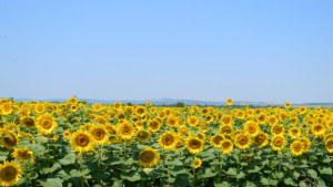 Започва втора серия на лятото