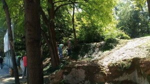 Намериха човешки кости на ул Гладстон